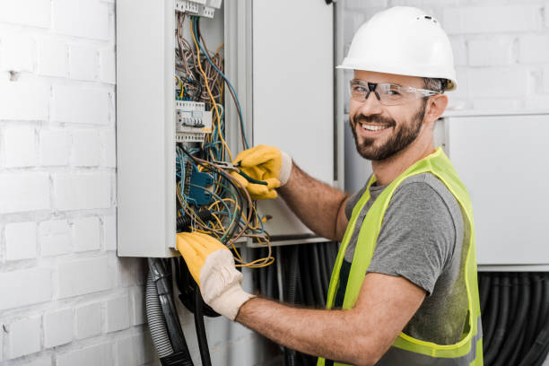 Best Electric Panel Repair  in Bonifay, FL